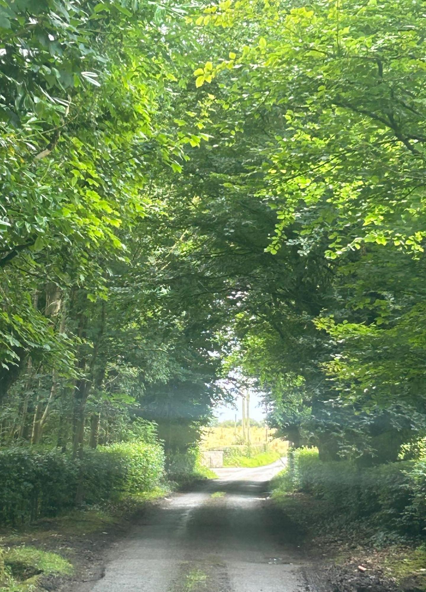 Вилла Omagh Sixmilecross Экстерьер фото
