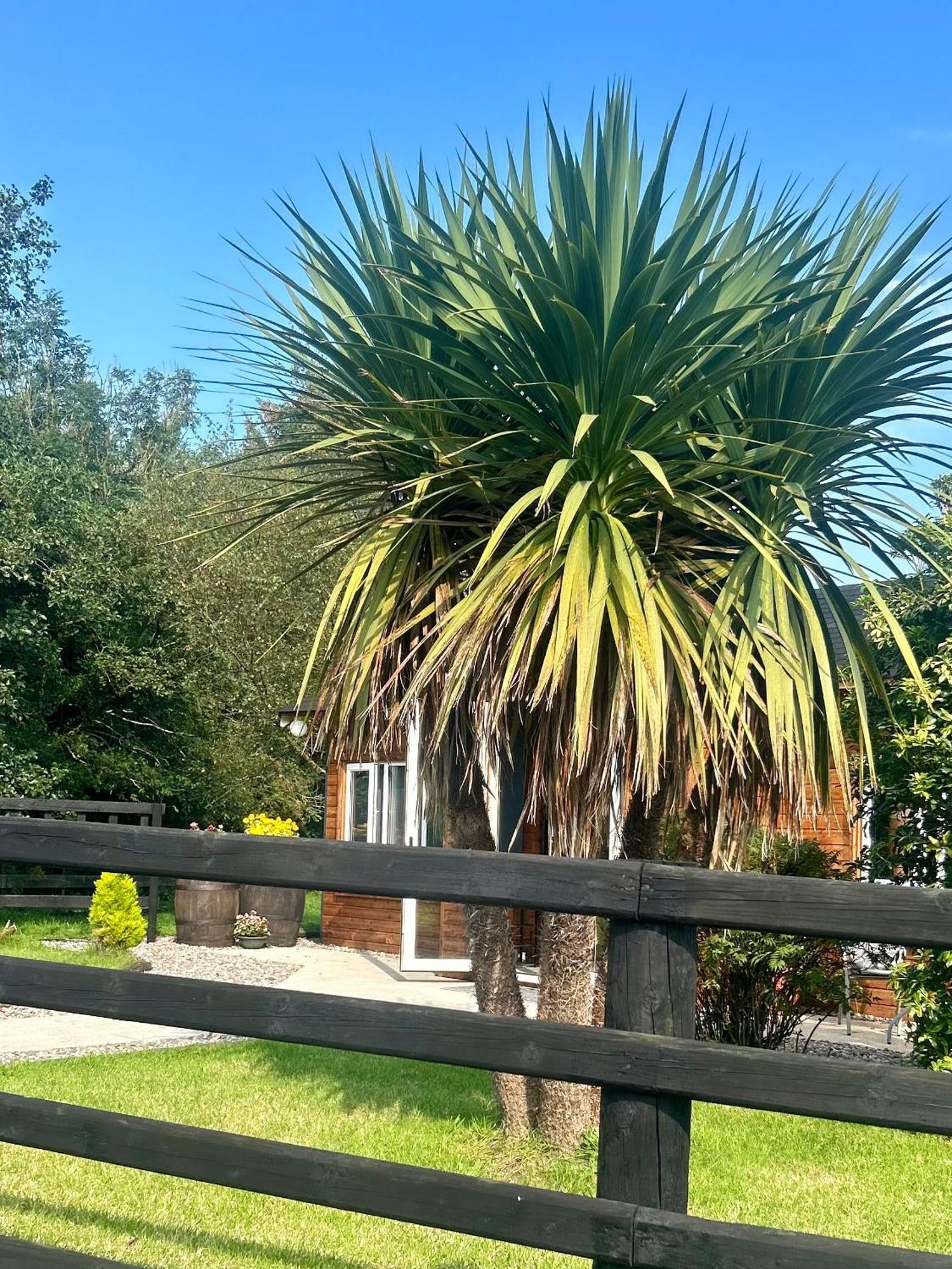 Вилла Omagh Sixmilecross Экстерьер фото