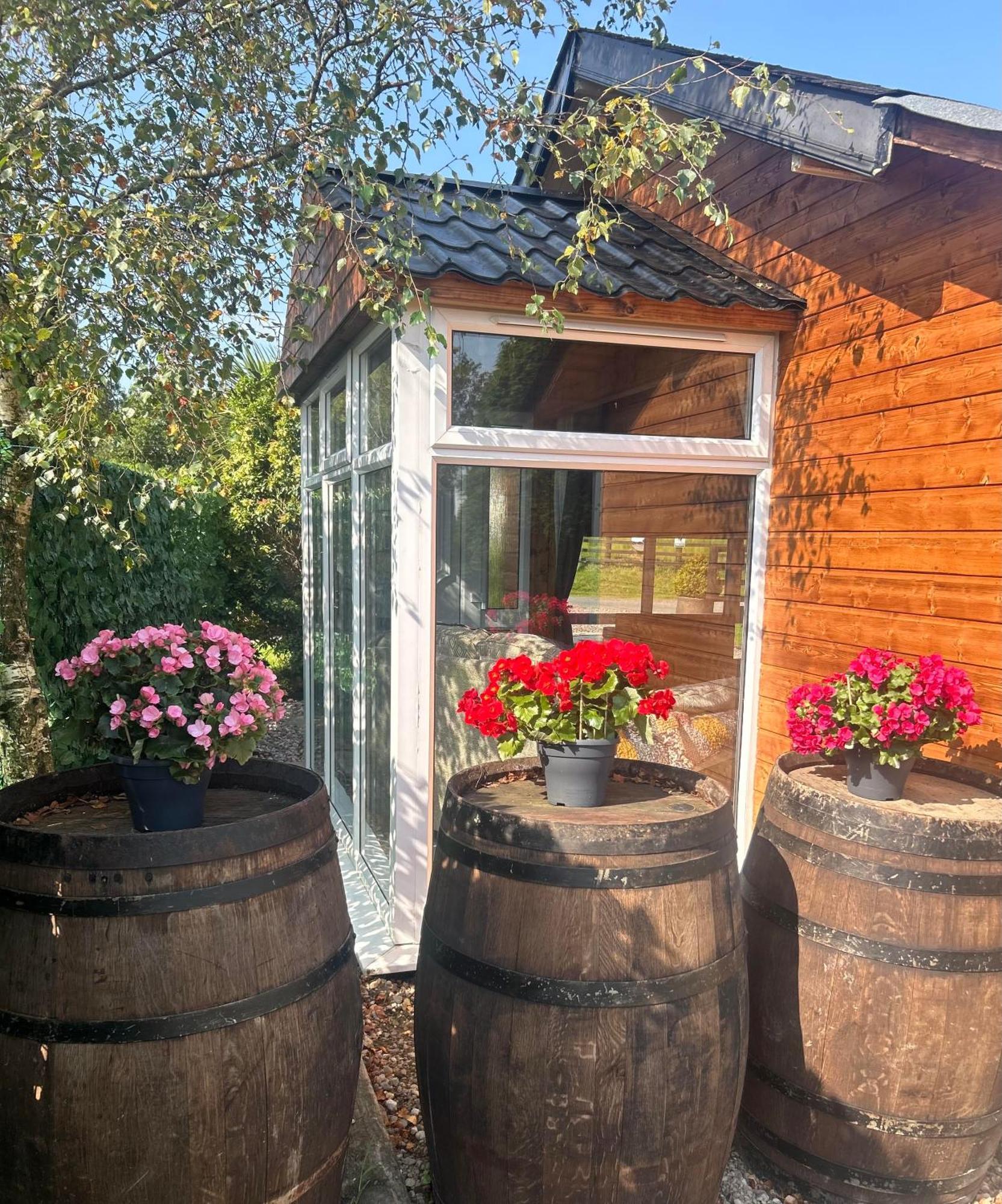 Вилла Omagh Sixmilecross Экстерьер фото